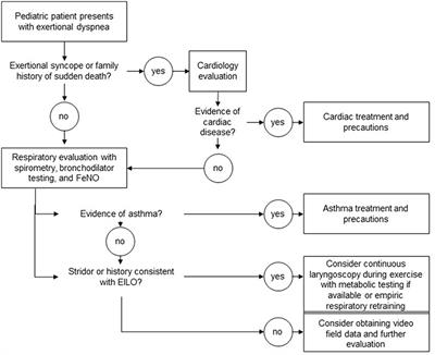 Exercise-Induced Laryngeal Obstruction: When Pediatric Exertional Dyspnea Does not Respond to Bronchodilators